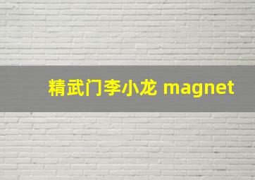 精武门李小龙 magnet